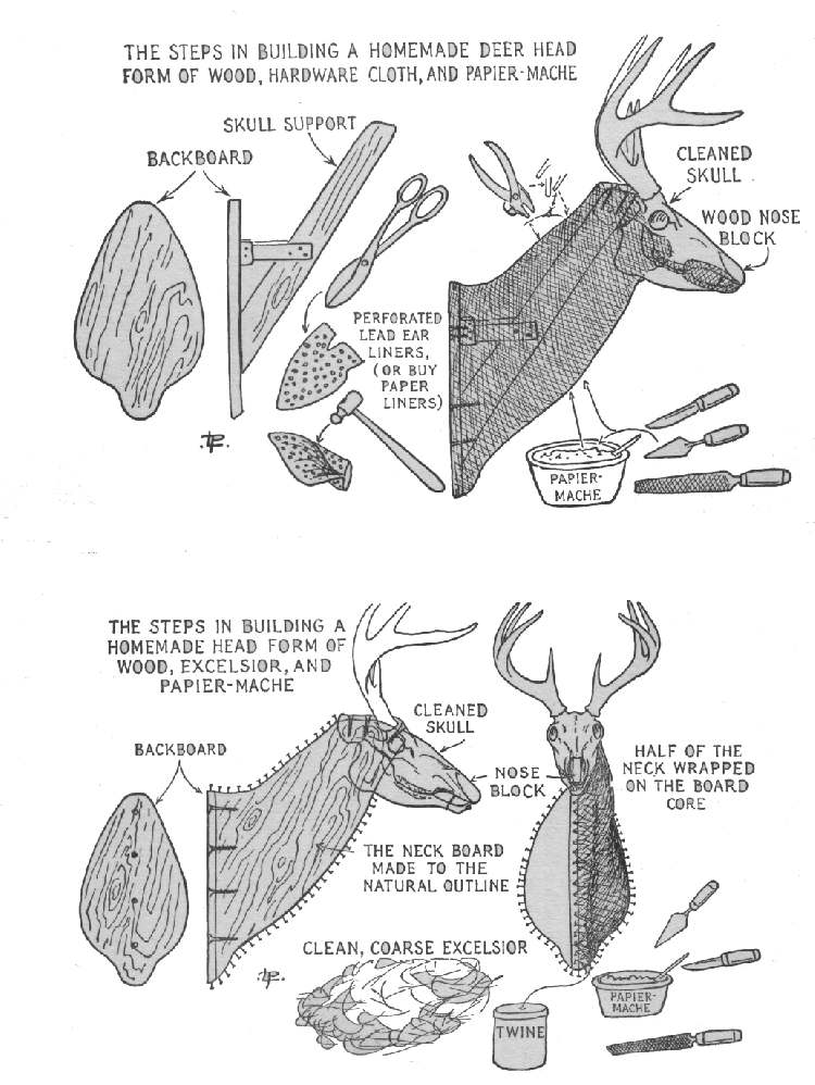17 Paper Mache Deer Head DIY Instructions Guide Patterns