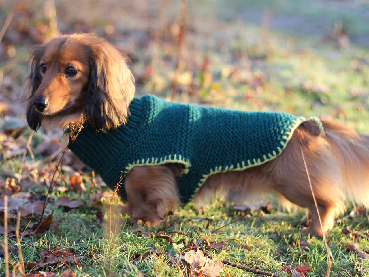 26 Free Crochet Dog Sweater Patterns Guide Patterns