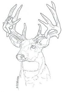 27 Free Wood Burning Pattern Ideas | Guide Patterns