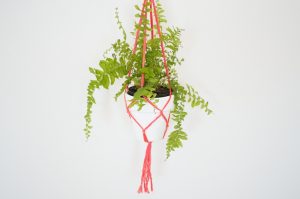 Macramé Plant Hanger DIY