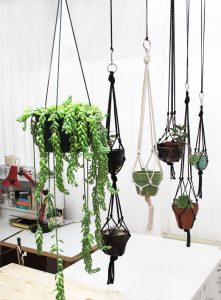 Macramé Plant Hanger Pattern