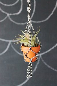 Macramé Plant Hanger Picture