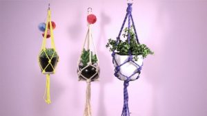 Plant Hangers Macramé