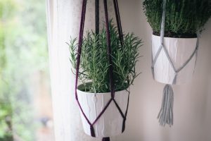 Simple Macramé Plant Hanger