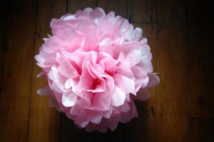 Pink Tissue Pom Pom