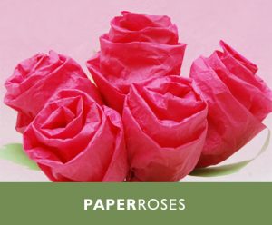Rose Tissue Paper