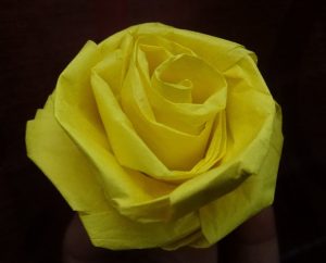 Tissue Paper Rose