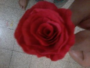 Tissue Paper Rose Design