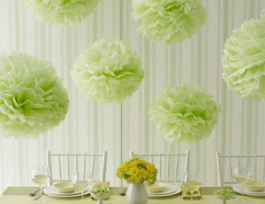 Tissue Pom Pom Decorations