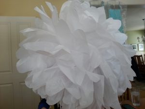 White Tissue Pom Pom