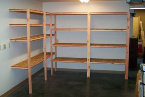 DIY Shelves for Garage