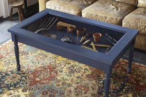 Display Case Shadow Box Coffee Table