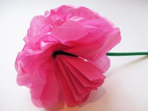 Giant Tissue Paper Flowers for Kids