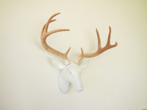 Paper Mache Deer Head Picture