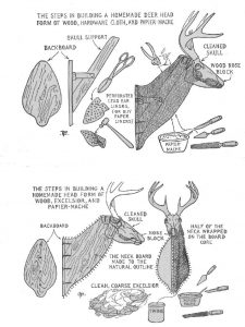 Paper Mache Deer Head Template