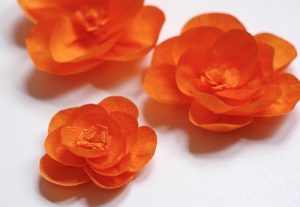 Crepe Paper Flowers