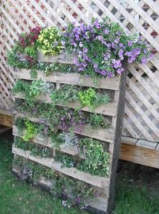 Outdoor Pallet Planter