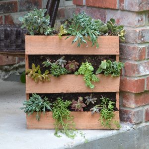 Pallet Planter