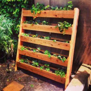 Strawberry Pallet Planter