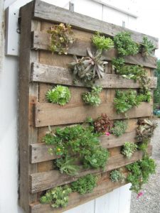 Succulent Vertical Pallet Planter