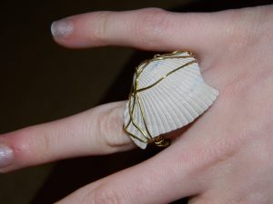 Wire Wrapped Ring with Stone