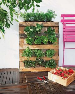 Wood Pallet Planter