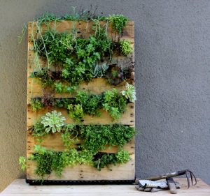 Wood Pallet Planter