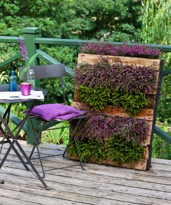 Wooden Pallet Planter