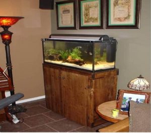 Aquarium and Stand