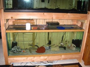 Double Aquarium Stand