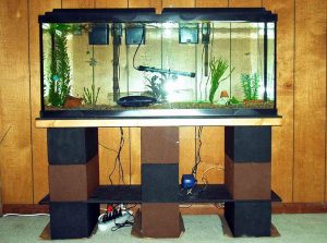 Fish Tank with Stand