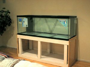 Modern Aquarium Stand