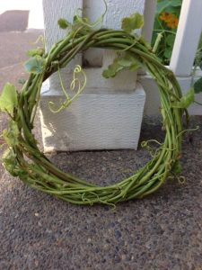 Small Grapevine Wreath