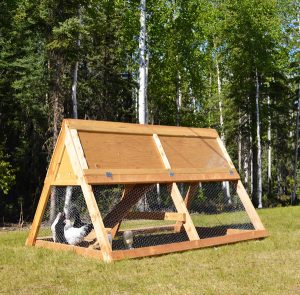 A Frame Pallet Chicken Coop