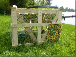 Chicken Coop Pallet