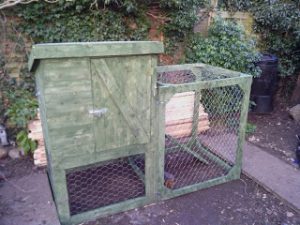 Chicken Coop from Pallet