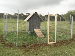 Chicken Coop from Pallet Plan