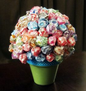 Lollipop Tree in a Pot