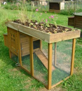 Pallet Chicken Coop Design