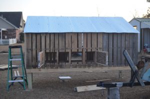 Pallet Chicken Coop House Plan