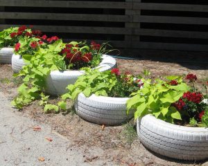 Used Tire Planter