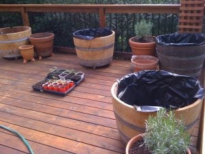 Wine Barrel Planters