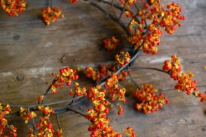 Bittersweet Berry Wreath