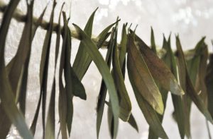 Eucalyptus Leaf Garland