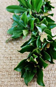 Green Leaf Garland