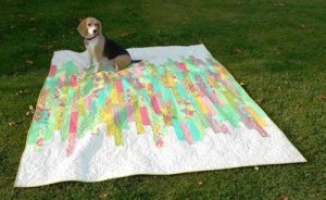 Quilt Pattern using Jelly Rolls