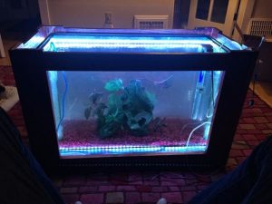 Coffee Table Fish Tank