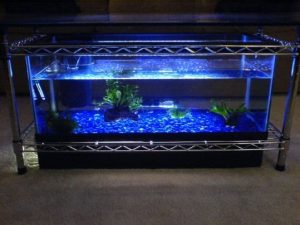 Fish Tank Coffee Table