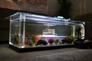 Fish Tank Coffee Table DIY
