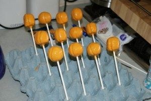 Substitute for Cake Pop Stand